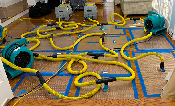 Professional Flood Damage Restoration technician working in Allenhurst, NJ